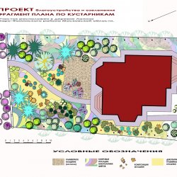 Проект участка - фрагмент план по кустарникам около патио